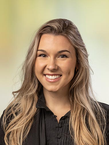 Sierra Link   