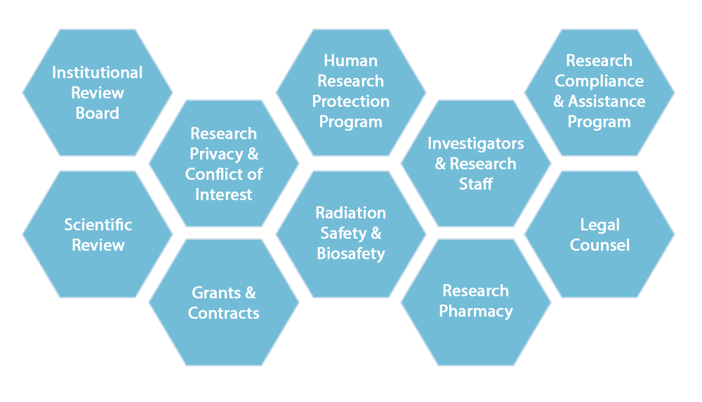 HRPP Structure