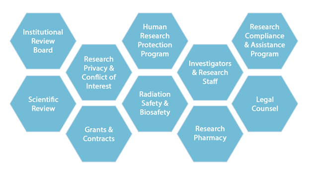 HRPP Structure
